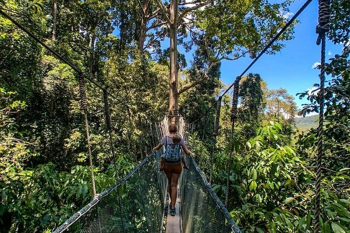 Tour del parco Kinabalu, del caseificio Desa e delle sorgenti termali di Poring