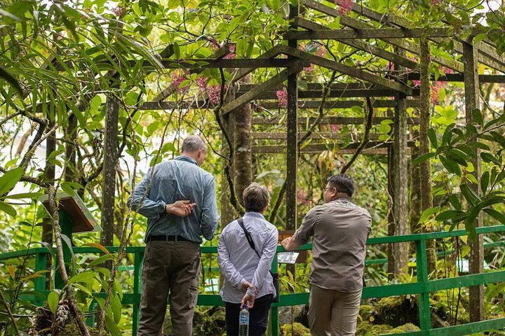 Tour del parco Kinabalu, del caseificio Desa e delle sorgenti termali di Poring