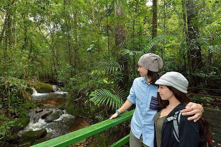 Tour del parco Kinabalu, del caseificio Desa e delle sorgenti termali di Poring