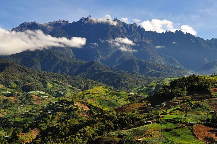 Tour del parco Kinabalu, del caseificio Desa e delle sorgenti termali di Poring