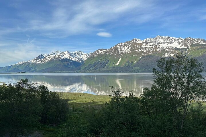 Alaska Natura Immersione: Tour di terapia forestale a Haines, Alaska