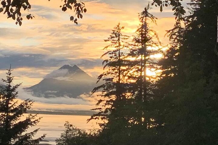 Alaska Natura Immersione: Tour di terapia forestale a Haines, Alaska