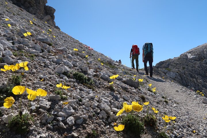 Privat guidet vandretur i Dolomiti Bellunesi National Park