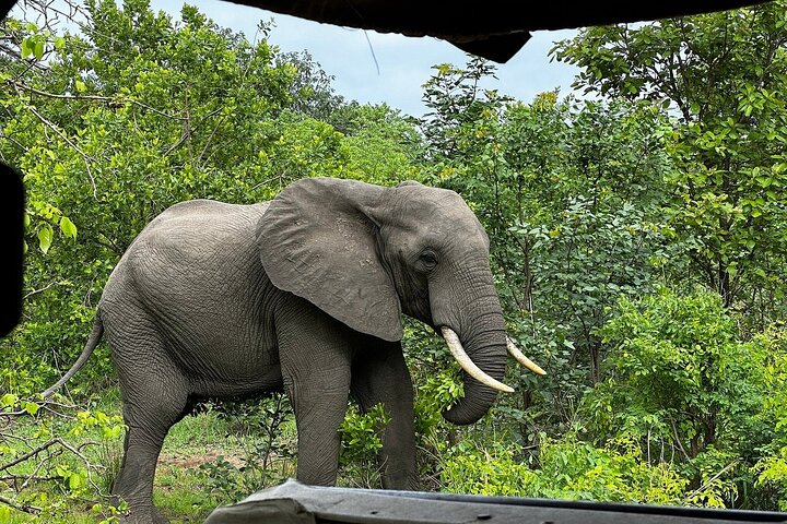 10-dagers safari i Malawi: Liwonde, Majete Big Five & Lake Malawi