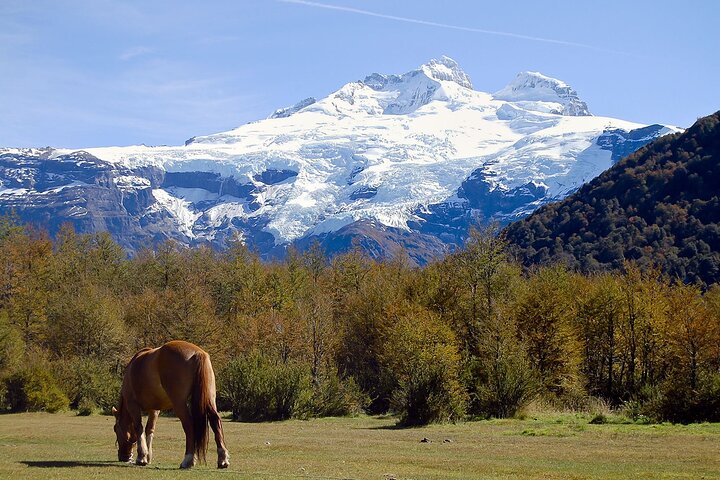 Scopri il Cerro Tronador con il Ghiacciaio Ventisquero Negro