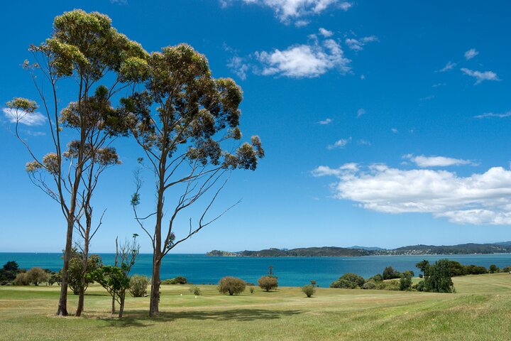 Schilderachtige tour door de Bay of Islands