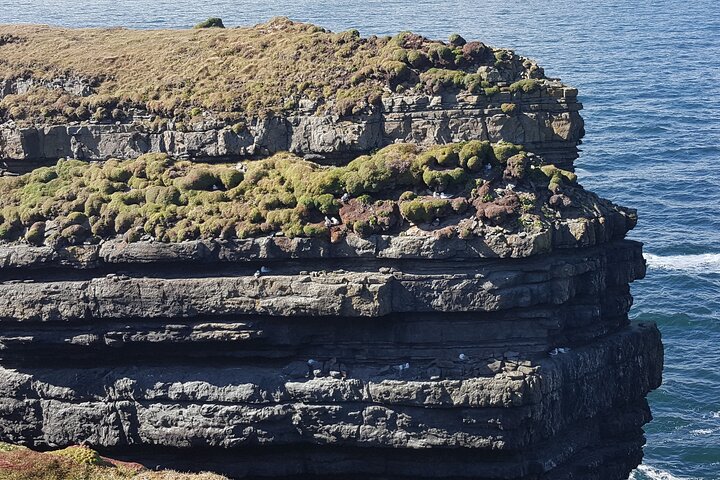 Privat rundtur: Fantastiska Cliffs of Moher och Burren från Cork