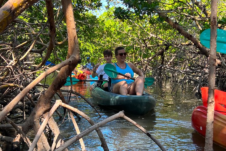 Bonita Springs Eco Kayak tur – beste utstyr, premium og klare kajakker