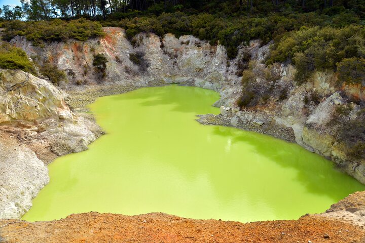 Auckland: Rotorua Tour avec Waiotapu, Te Puia et Maori Haka