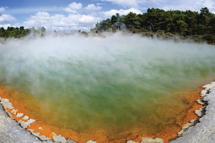 Auckland: Rotorua Tour avec Waiotapu, Te Puia et Maori Haka