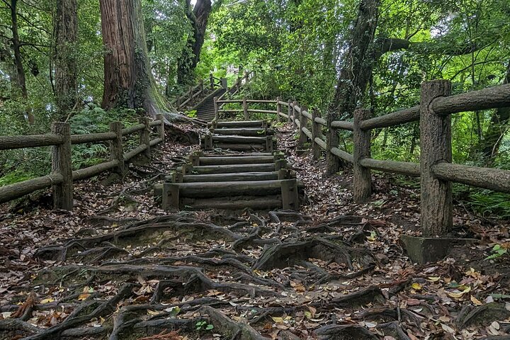 Stay in a Traditional Japanese House, Encounter Locals in Chiba