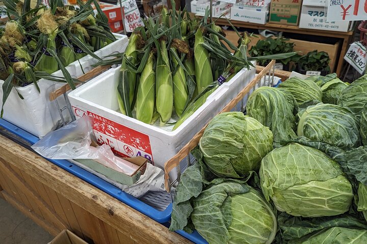 Stay in a Traditional Japanese House, Encounter Locals in Chiba