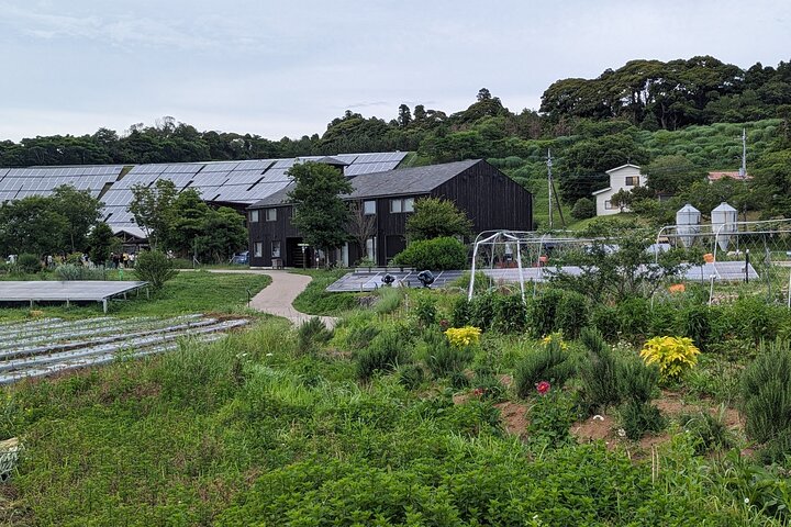 Stay in a Traditional Japanese House, Encounter Locals in Chiba