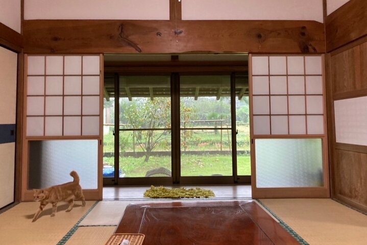 Stay in a Traditional Japanese House, Encounter Locals in Chiba