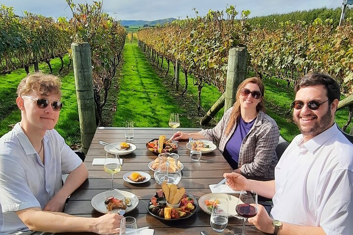 Excursão de meio dia pela vinícola Martinborough saindo de Wellington