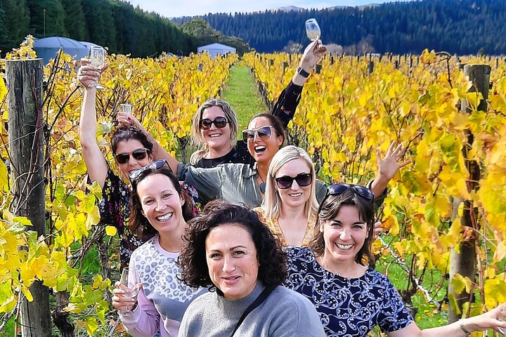 Excursão de meio dia pela vinícola Martinborough saindo de Wellington
