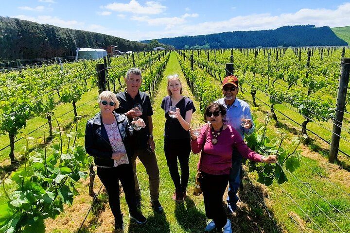 Excursão de meio dia pela vinícola Martinborough saindo de Wellington