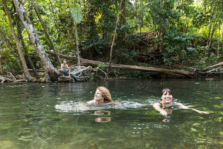 Excursión de un día completo a la selva tropical de Daintree y la tribulación del Cabo