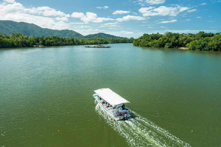 Excursión de un día completo a la selva tropical de Daintree y la tribulación del Cabo