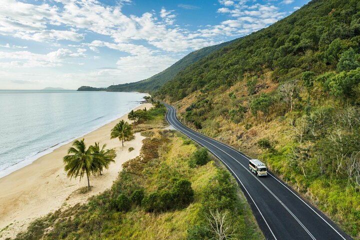 Excursión de un día completo a la selva tropical de Daintree y la tribulación del Cabo