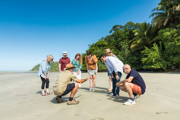 Excursión de un día completo a la selva tropical de Daintree y la tribulación del Cabo