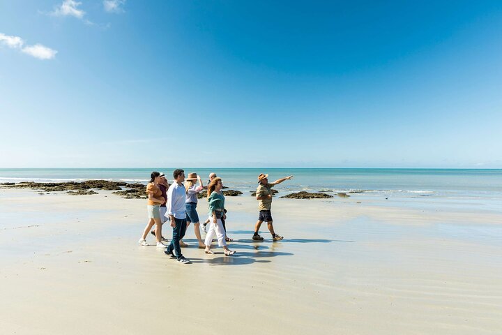 Excursión de un día completo a la selva tropical de Daintree y la tribulación del Cabo