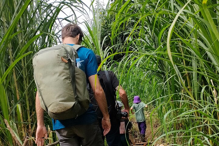 Halbtägige private Trekking Mu Cang Chai_Morgen oder Nachmittag