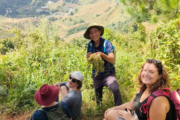 Halbtägige private Trekking Mu Cang Chai_Morgen oder Nachmittag