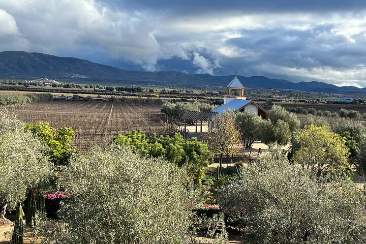 Privat Deluxe vinresa till Valle de Guadalupe med lyxfordon