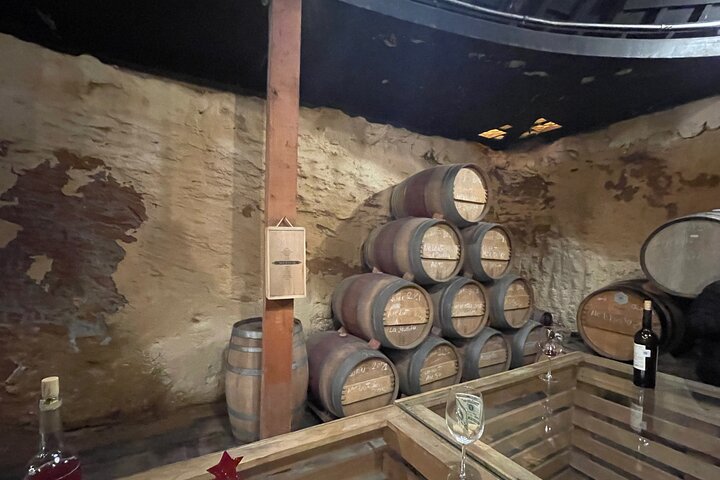 Privat Deluxe vinresa till Valle de Guadalupe med lyxfordon