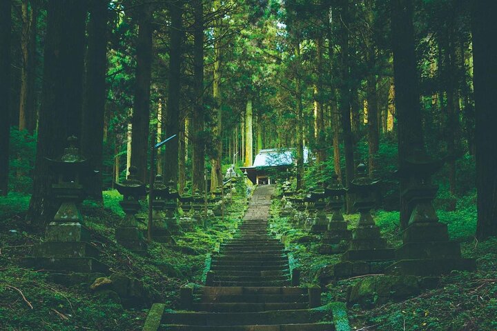 Von Kumamoto : Berg Aso und Takachiho All-inclusive Private Tour