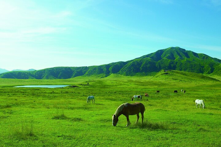 Von Kumamoto : Berg Aso und Takachiho All-inclusive Private Tour