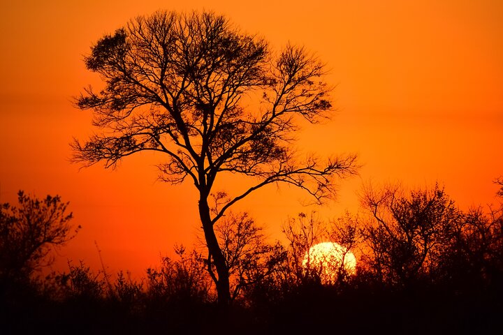 Safari Kruger de 3 jours au départ de Johannesburg