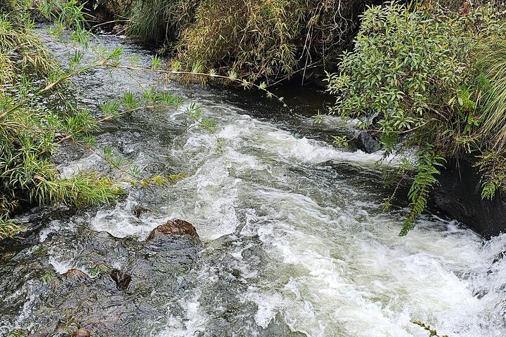 Papallacta Hot Springs : Entspannen Sie in Ecuadors Andengebirge