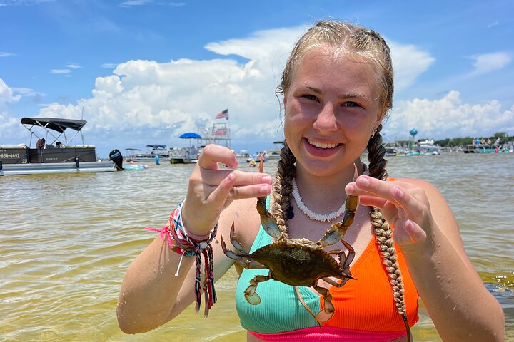 Excursão de 3 horas à Ilha do Crab da Destin Não Privada com Flotadores