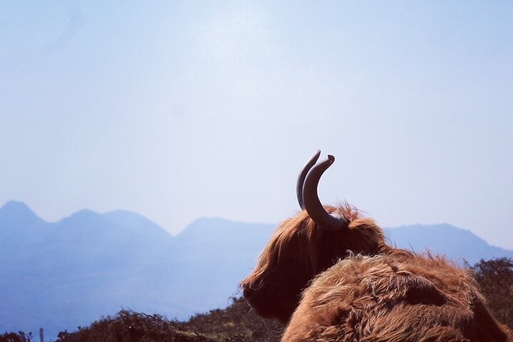 Tagestour zur Isle of Skye und zu den Fairy Pools ab Portree