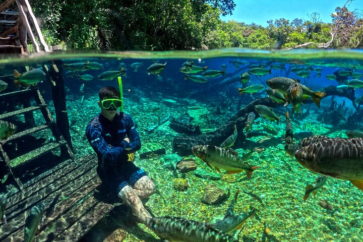 Ohne Anstehen: Recanto Ecologico Rio da Prata Ticket inklusive Trail & Schnorcheln