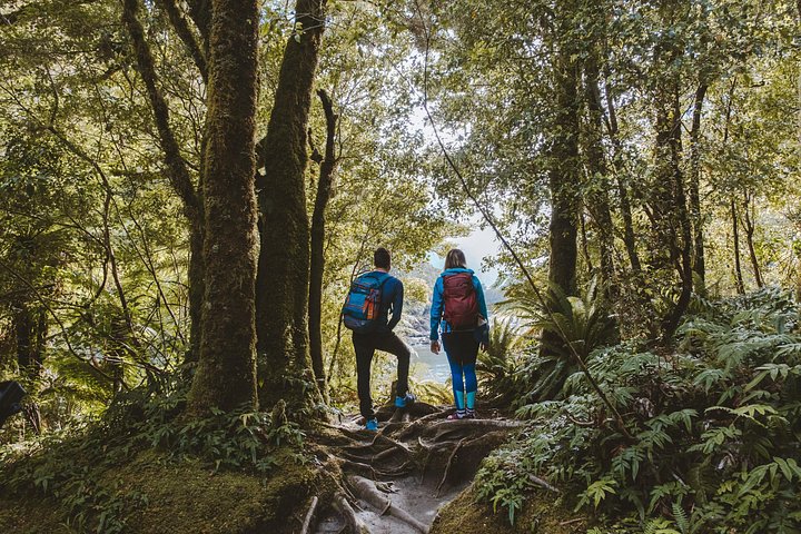 Recorrido a pie autoguiado por Milford Track Day - Milford Sound