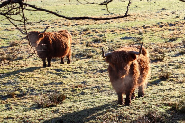 Privat tur fra Oban - Highlands, Glencoe, Lochs & Castles