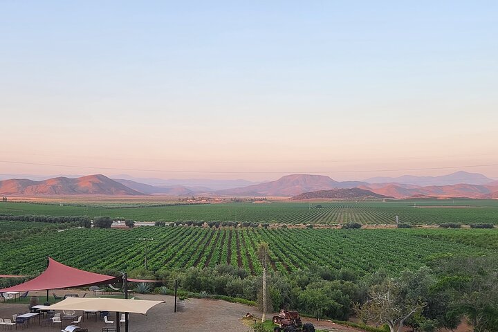 Privé wijntour Valle de Guadalupe : alle wijnproeverijen inbegrepen