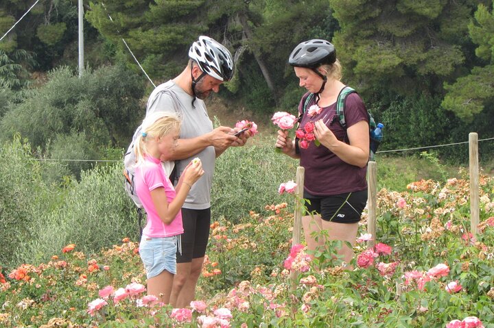 Visite en petit groupe en vélo électrique sur la Riviera Ligure avec déjeuner
