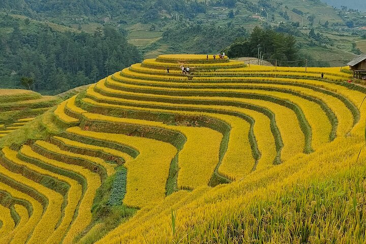 Dia inteiro Private Trekking Mu Cang Chai