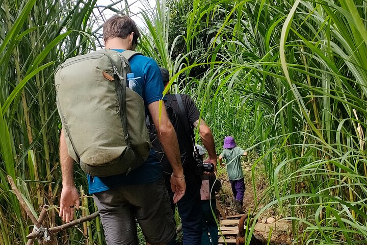 Dia inteiro Private Trekking Mu Cang Chai