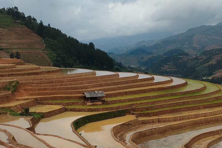 Dia inteiro Private Trekking Mu Cang Chai