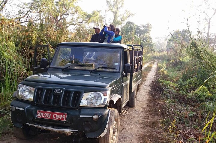 Halve dag Jeep Safari delen in Chitwan National Park