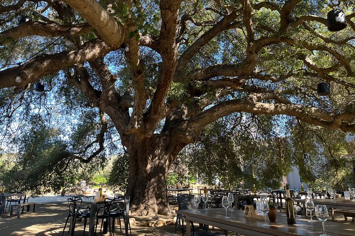 Privat Deluxe vinresa till Valle de Guadalupe med lyxfordon