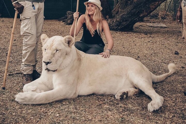 South Discovery With Wild Life Safari at Casela Park with Lunch