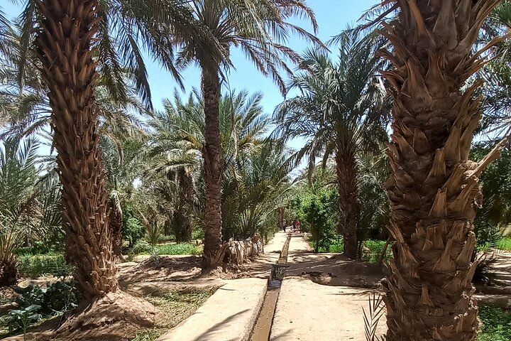 Privat dagstur från Erfoud till Merzougaöknen med lunch