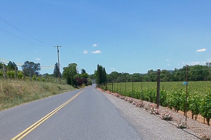 Tour guiado de día completo de cata de vinos en bicicleta eléctrica con almuerzo