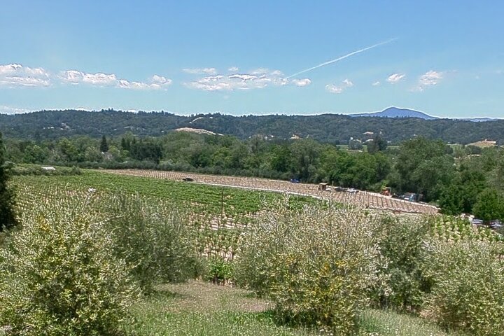 Tour guiado de día completo de cata de vinos en bicicleta eléctrica con almuerzo